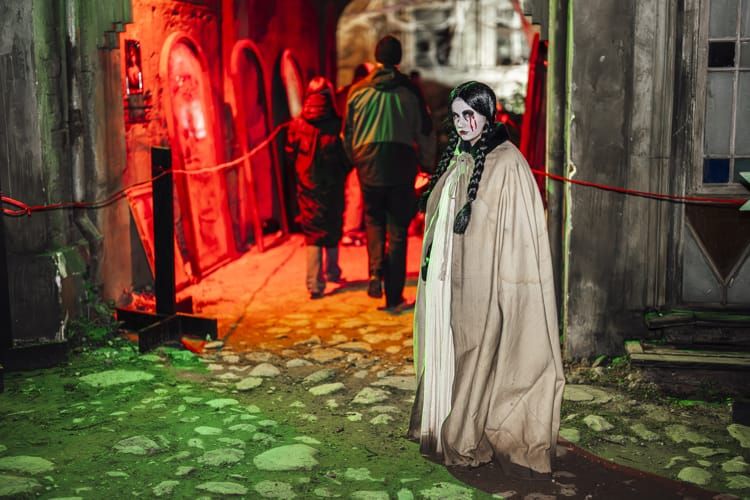 Danger Fest 2024 - Gallery Image 2