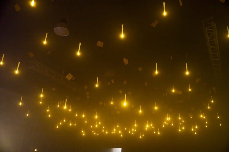 Danger Fest 2024 - Gallery Image 11